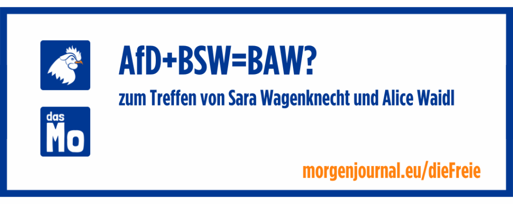 Banner die freie Meinung - AfD + BSW = BAW? Zum Treffen von Sara Wagenknecht und Alice Waidl
