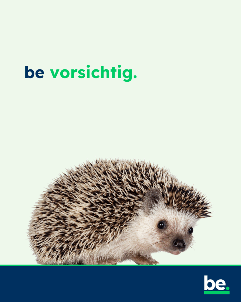 Foto eines Igel mit dem Text: be vorsichtig.