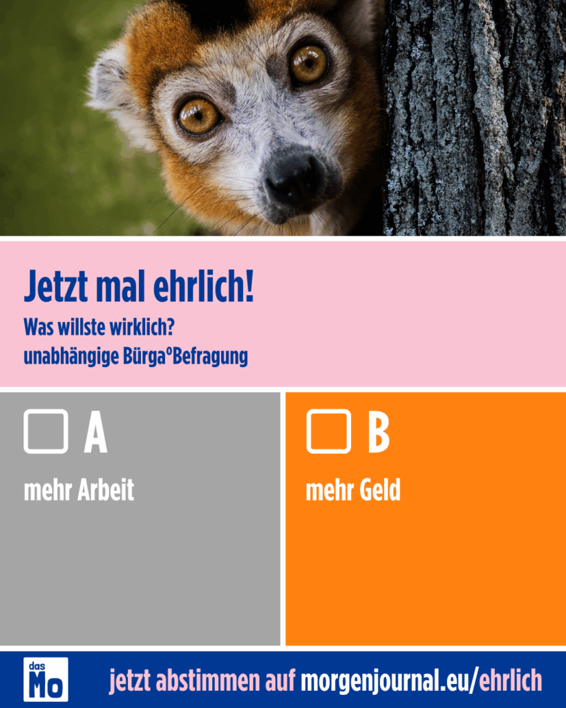 Jetzt mal ehrlich! Was willste wirklich? unabhängige Bürgerbefragung - A: mehr Arbeit - B: mehr Geld - jetzt abstimmen auf morgenjournal.eu/ehrlich