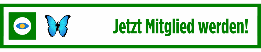 Paket Schmetterling jetzt buchen