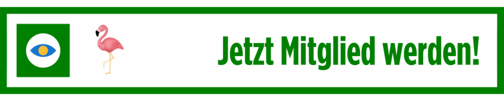 Paket Flamingo jetzt buchen