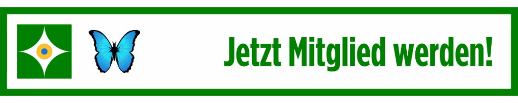 Paket Schmetterling jetzt buchen