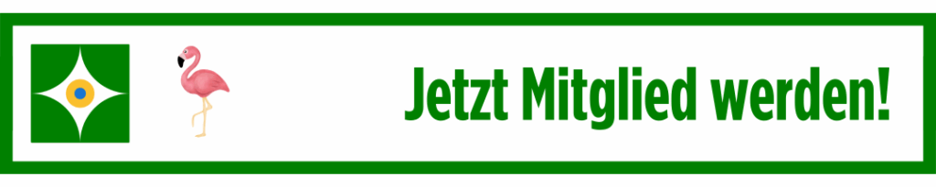 Paket Flamingo jetzt buchen