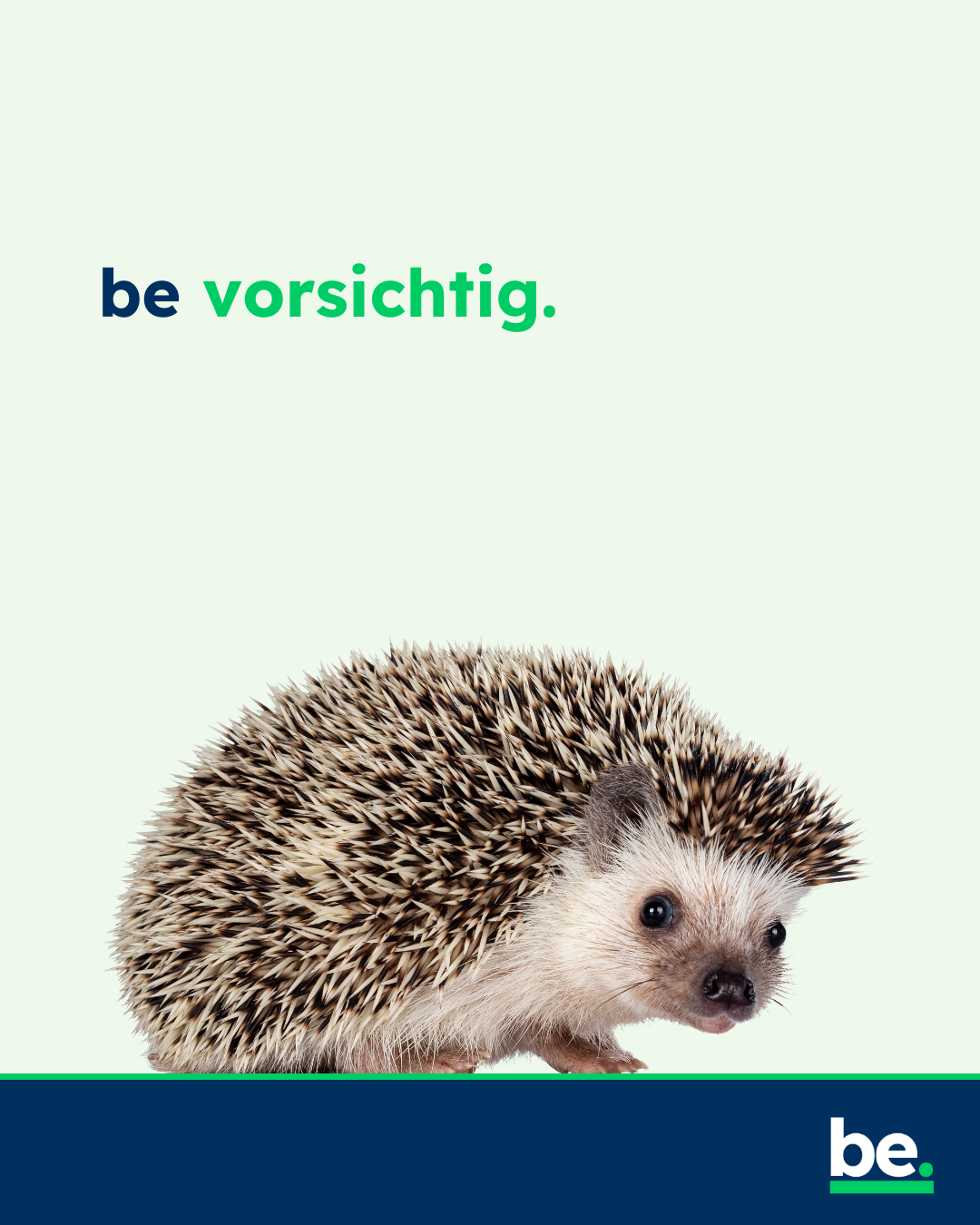 Foto eines Igel, der vorsichtig guckt, darüber der Text: be vorsichtig.
